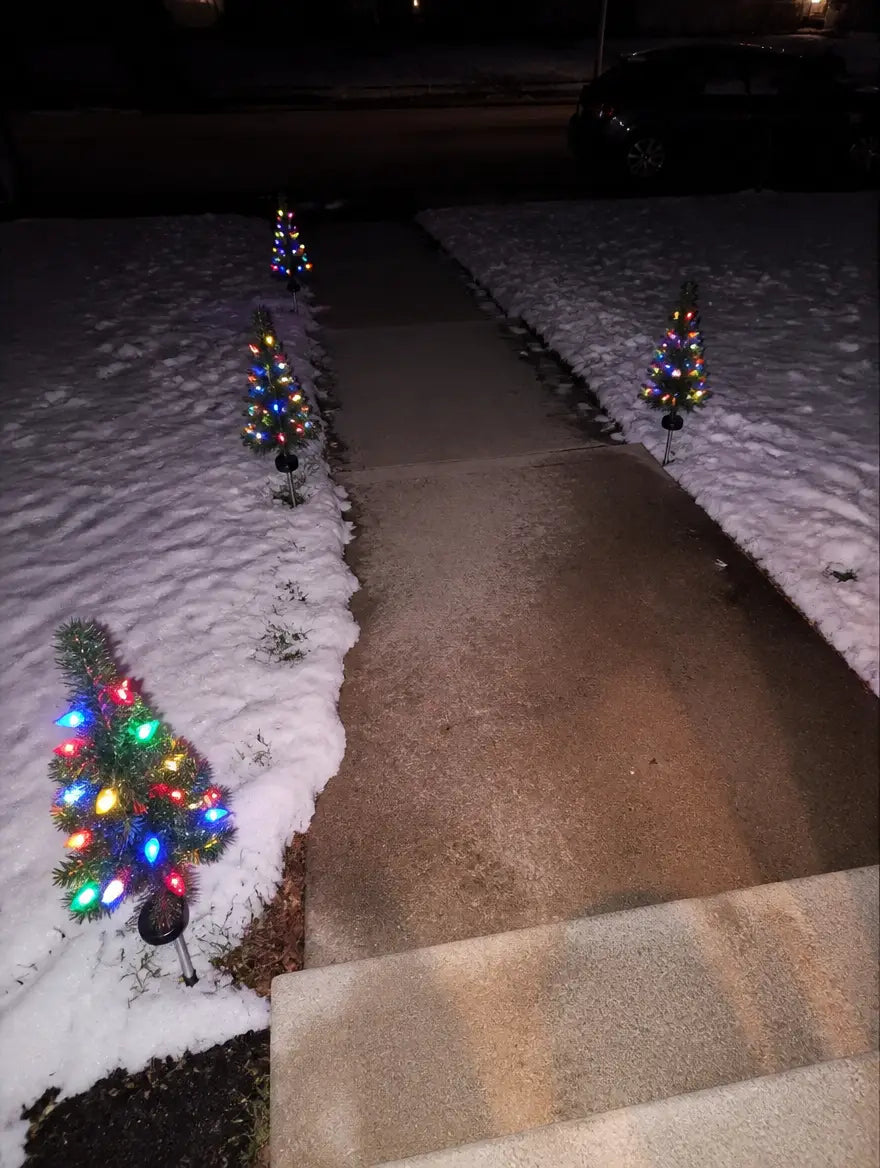 SolarNoel trees glowing along the walkway at night